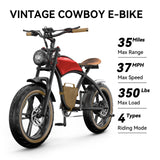 Electric Bike B10