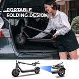 Electric Scooter N1