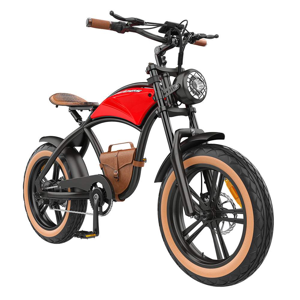 Electric Bike B10