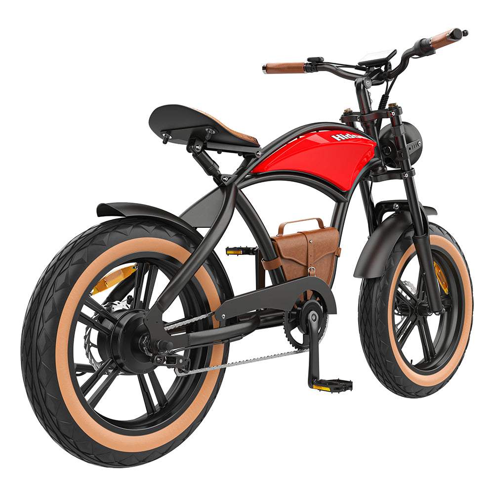 Electric Bike B10