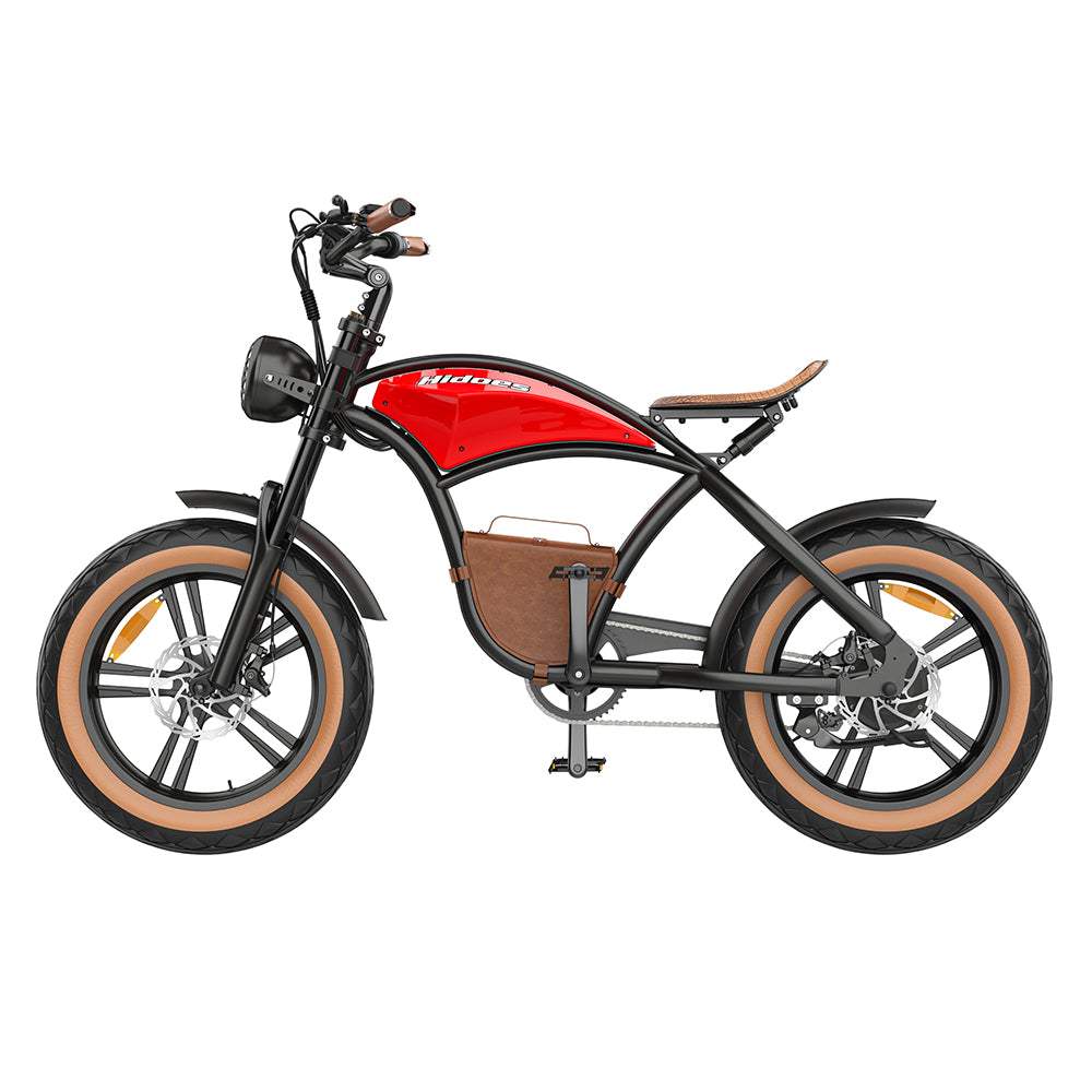 Electric Bike B10