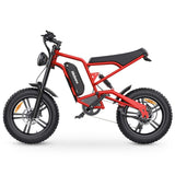 Electric Bike B6